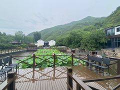 -荷塘味道(水长城店)