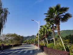 -明月山天沐温泉度假村