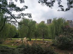 -堤角公园