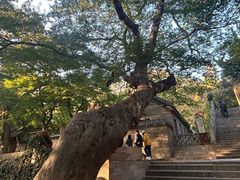 -青岛崂山太清宫