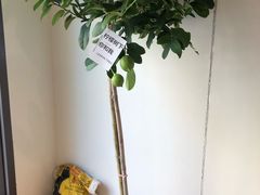-fishtank鱼缸咖啡(三山街店)