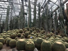 -南山植物园