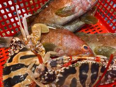 -抱德·潮汕味(琶洲店原惠城鱼仔)