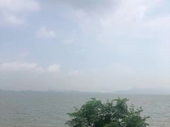 -深圳湾公园(南山区)