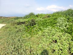 -龙坑生态保护区