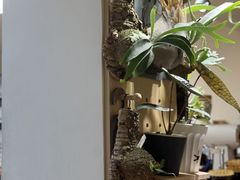 -本無咖啡·BeanWood Coffee
