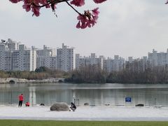 -大宁公园