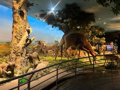 -国家自然博物馆