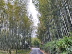 -苏州环秀晓筑养生度假村