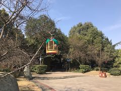 -麦当劳(成都时代奥特莱斯店)
