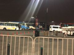 -迪士尼乐园停车场