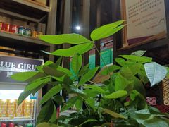 -湘当爱·鲜煮现炒(松岗立业路店)
