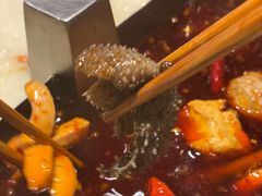 -海底捞火锅(高科广场店)