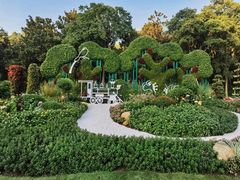 -上海共青森林公园