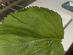 -玉善烧烤串城(长春总店)