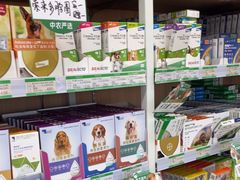 -中国农业大学动物医院