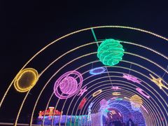 -空港花田景区