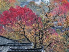 -塔川景区