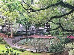 -香港大学
