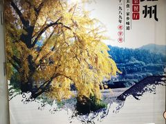 -南雄雄州土菜餐厅(粤北大厦店)