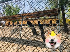 -北京鹿世界主题园