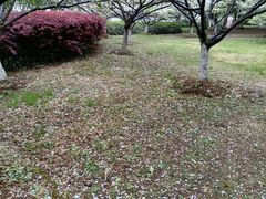 -白塘生态植物园