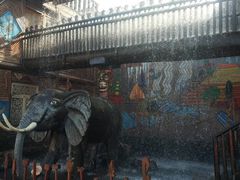 -呀路古热带植物园
