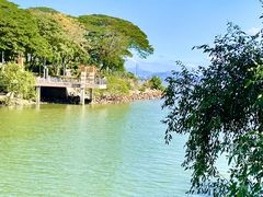 -深圳湾公园(南山区)