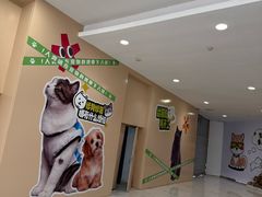 -凯德MALL(望京店)