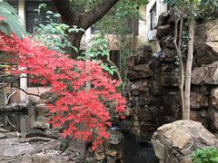 -上海市龙华烈士陵园