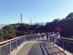 -金鸡山公园