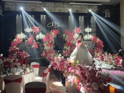 -天河希尔顿酒店·宴会厅