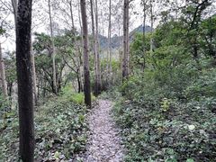 -玉渡山自然风景区