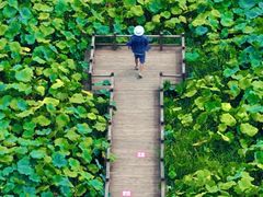 -清漾毛氏文化村