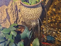 -金山烤肉(中兴公园店)