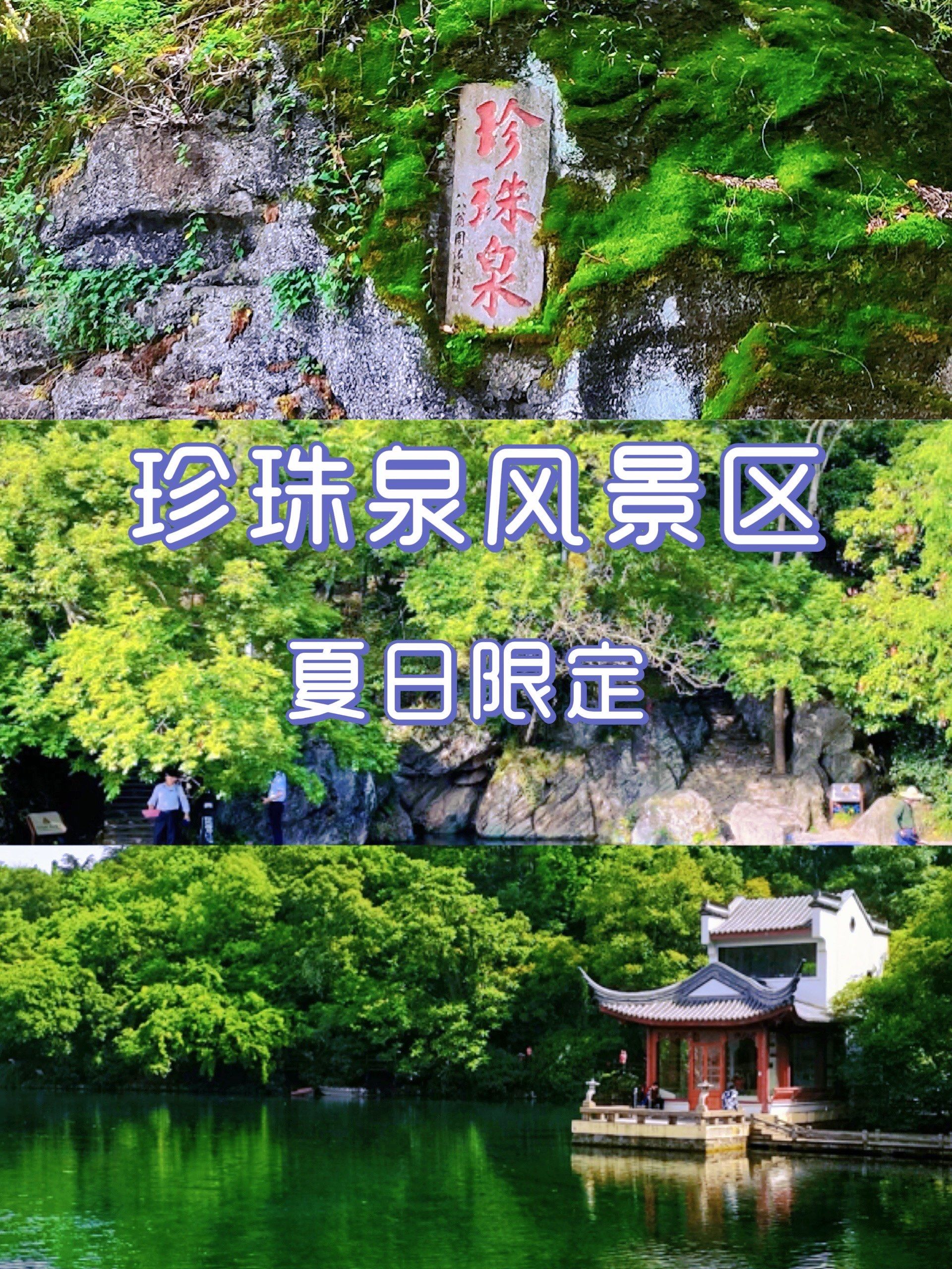 南京初夏旅行 | 南京人夏天怎么都往珍珠泉跑