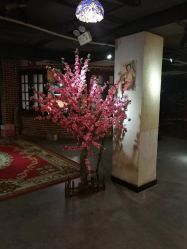 -梧桐照相馆(维景国际店)