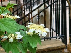 -龙湖·香醍溪岸