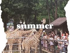 -广州动物园
