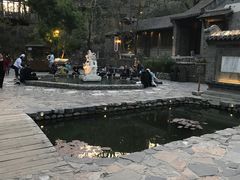 -古北烤梨