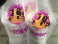 -一只酸奶牛(捞沙巷店)
