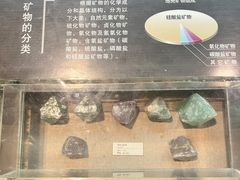 -浙江自然博物院(杭州馆)
