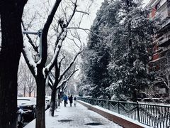 -钓鱼台国宾馆