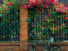 -璐坊粽王(复兴中路店)