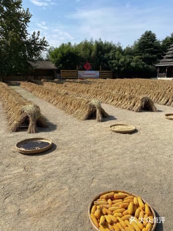 里面风景不错，也有一些免费的娱乐设施，不过每一个我们