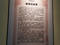 餐具摆设-猴哥酸菜米线