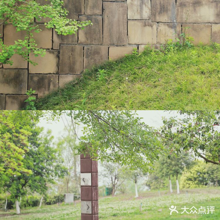 误入成都版森林公园🏠打卡童话小木屋!