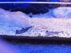 -上海海洋水族馆