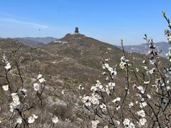 -潭柘寺景区
