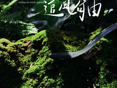 -上海辰山植物园